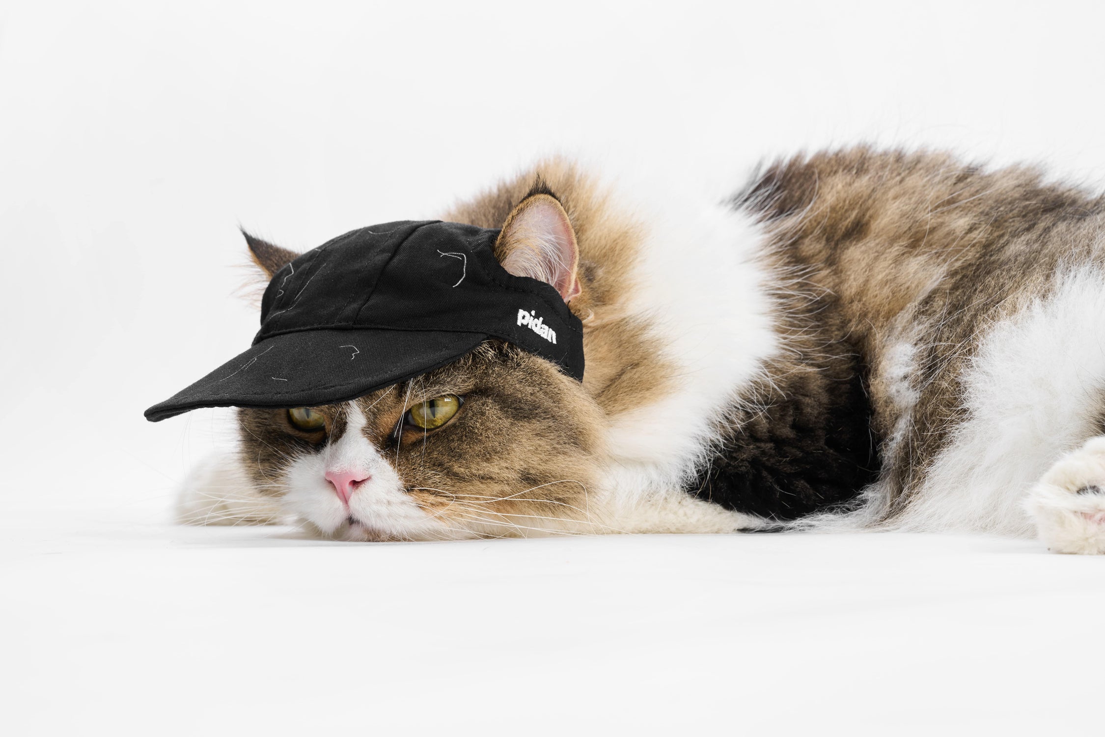 pidan × HEADACHE Cat Hair Three-Piece Set — Gift Box for You and Your Cat