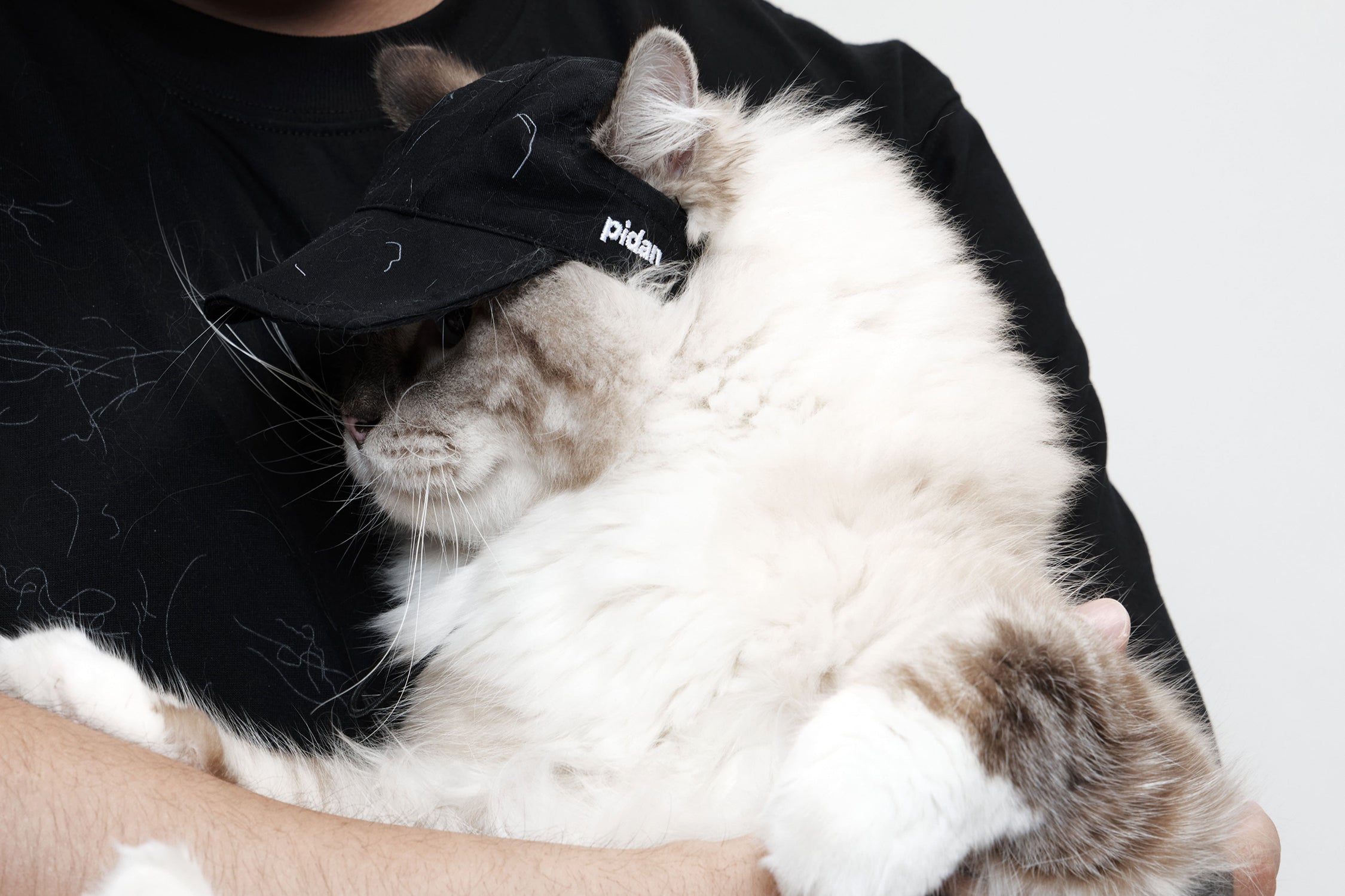 pidan × HEADACHE Cat Hair Three-Piece Set — Gift Box for You and Your Cat