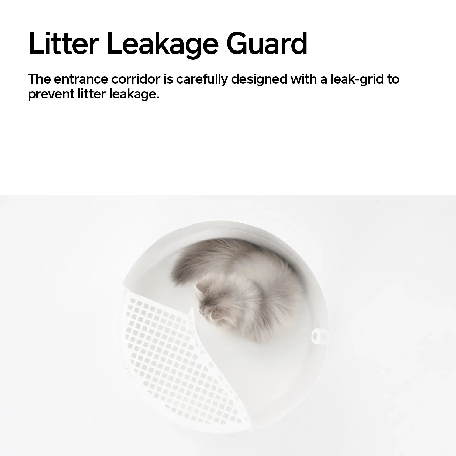 White, modern, dog-proof dome litter box with a patented grated door for easy, clean cat use.