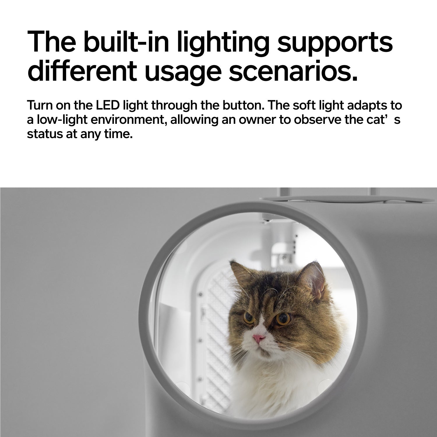 PIDAN pet carrier: Spacious, lit, fan-cooled, safe, stylish travel for cats & small dogs.