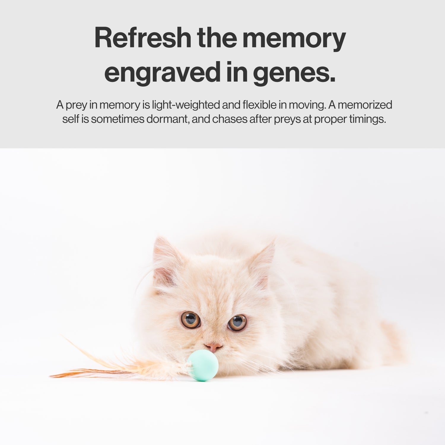 Mint green bouncy ball cat toy with feather tail for indoor enrichment. Triggers chase mode, prevents rolling.