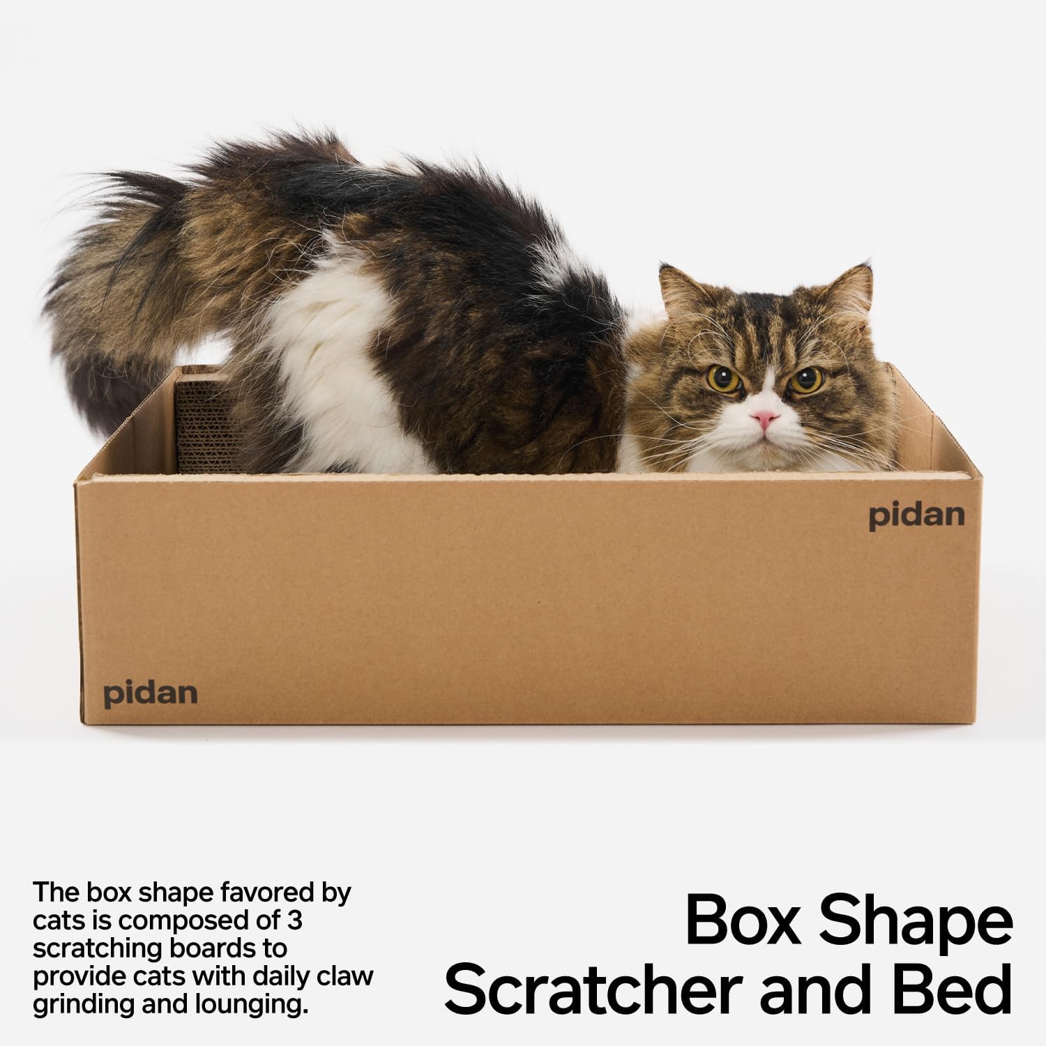A-Grade cat scratcher box bed lounger toy made of corrugated cardboard.